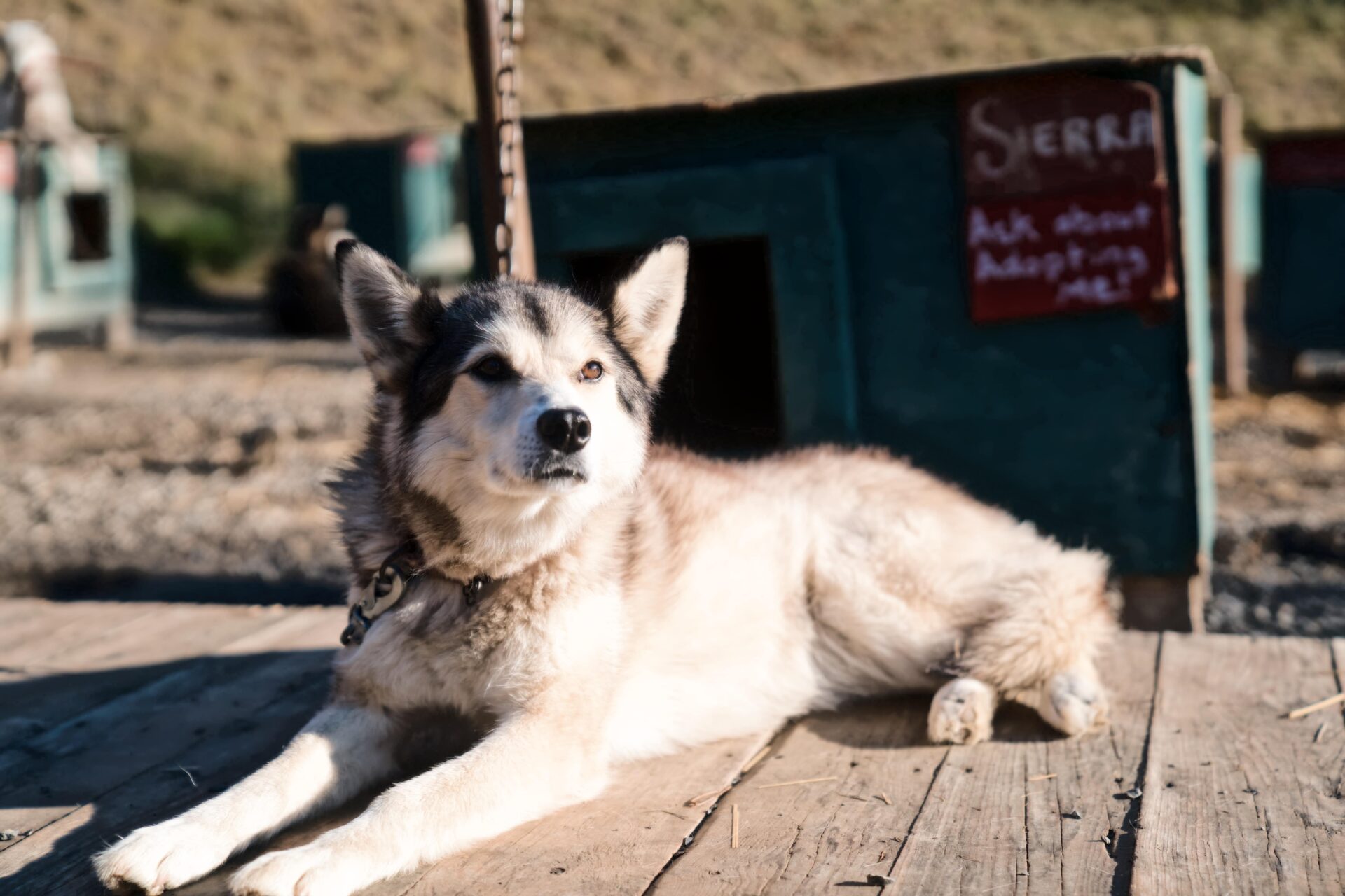 221F88F3-4737-4F02-9029-BD03BC2DC8DA-min