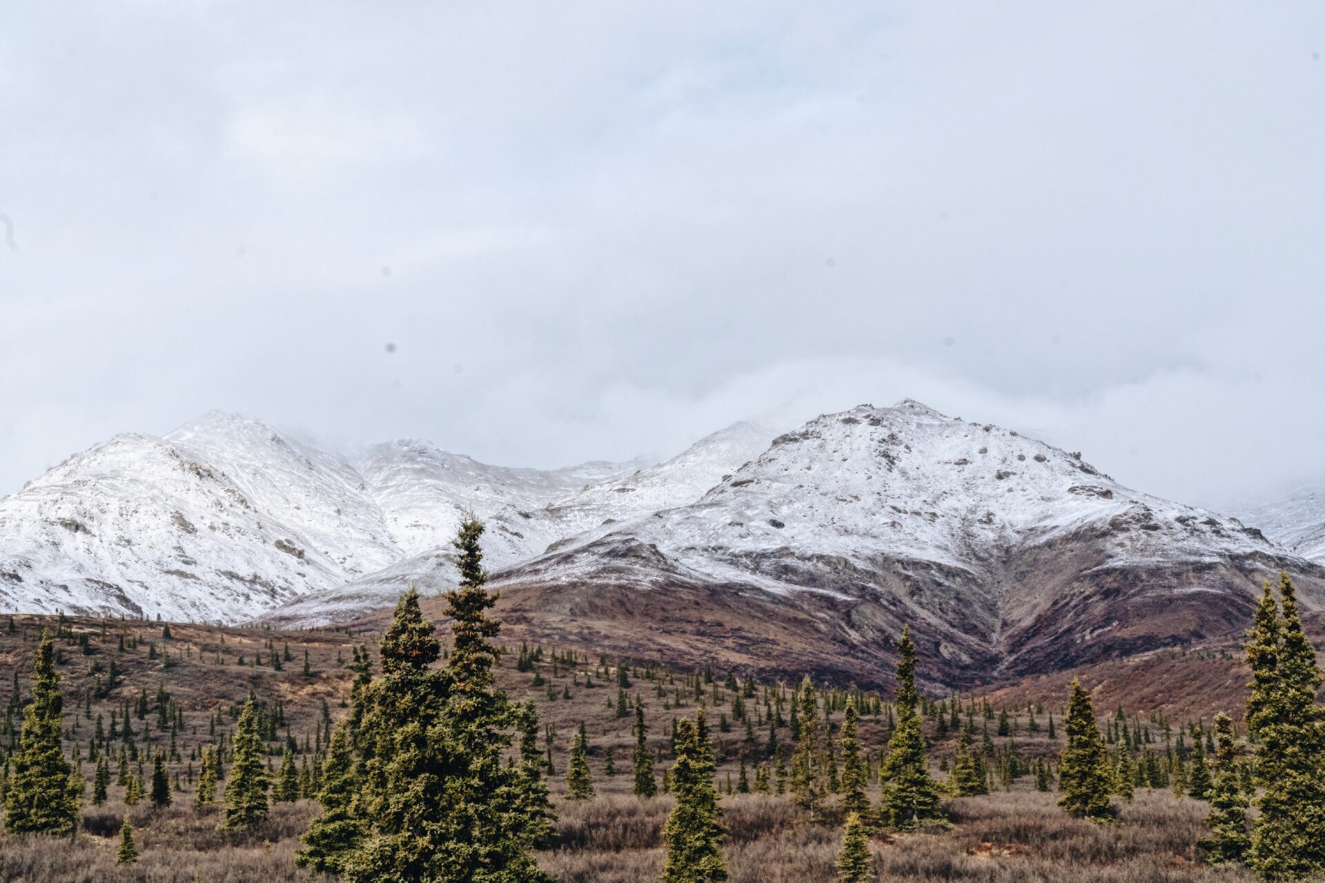 3EF44AE0-C18C-4BDA-AACB-9729CDF2B43D-min