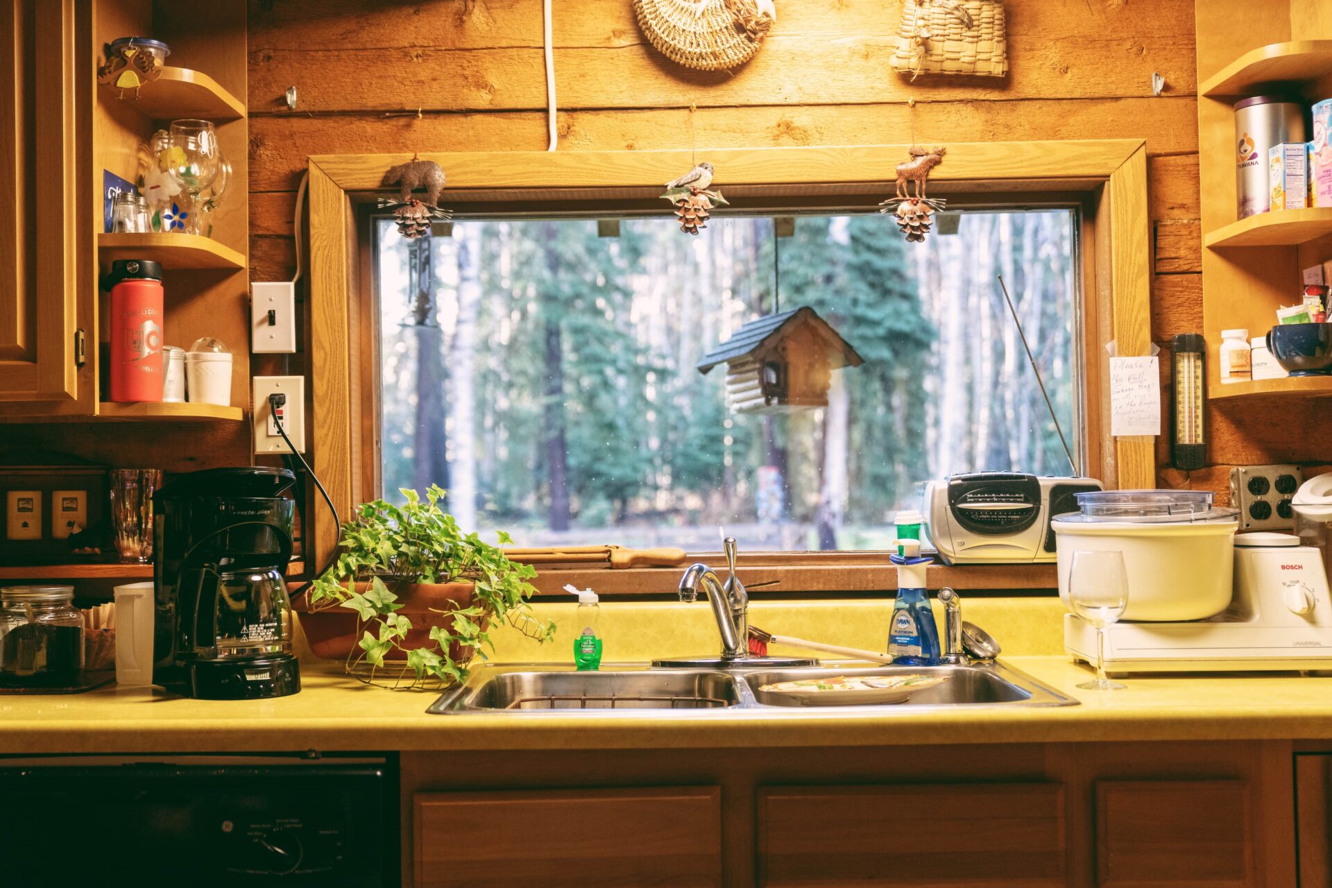 59A6FA2F-38E5-45D5-A23A-A162B5AAC11E-min