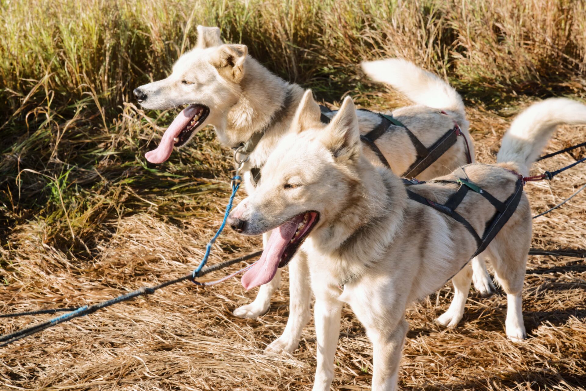 E45CEA1C-755A-4DFB-9224-6755F01398AD-min