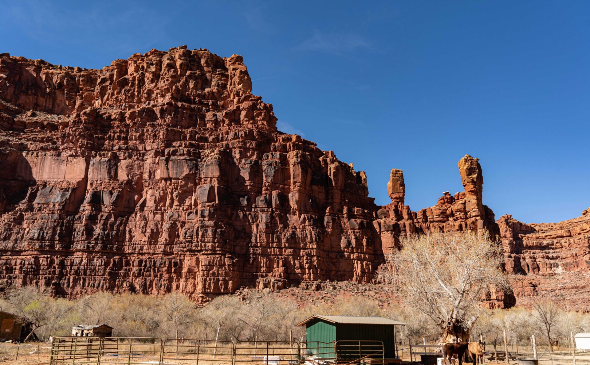 5C5C7A66-622E-4D8B-9240-F56629488397