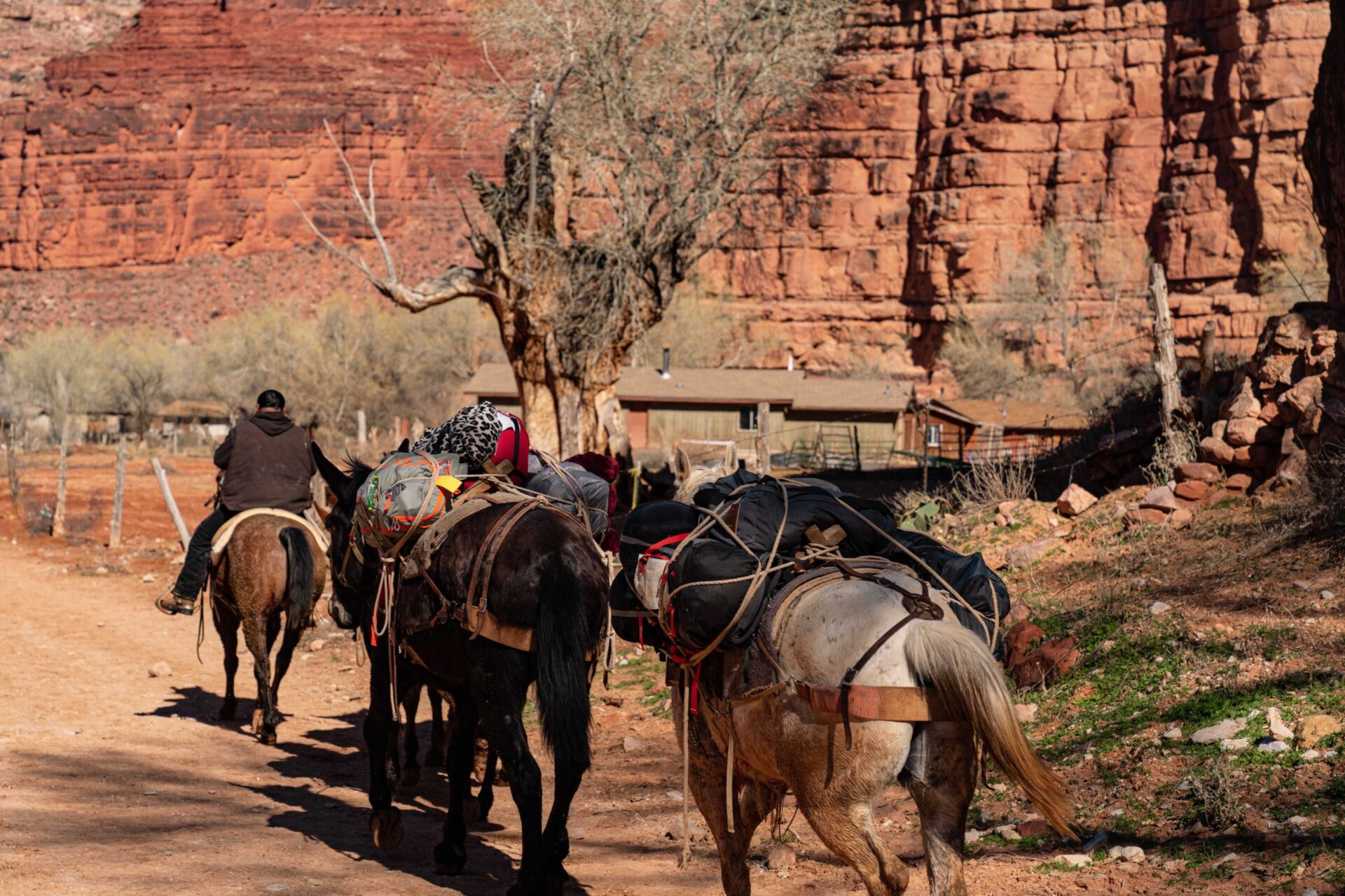 7C4C8F84-39D5-427A-B795-03ADE5F15EBA